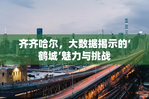 齐齐哈尔，大数据揭示的‘鹤城’魅力与挑战