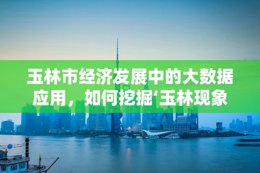 玉林市经济发展中的大数据应用，如何挖掘‘玉林现象’的潜力？