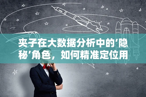 夹子在大数据分析中的‘隐秘’角色，如何精准定位用户需求？