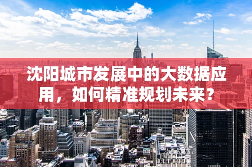 沈阳城市发展中的大数据应用，如何精准规划未来？