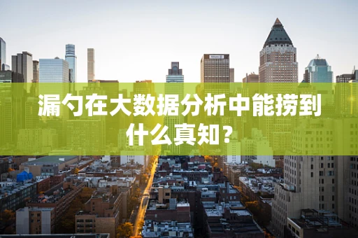 漏勺在大数据分析中能捞到什么真知？