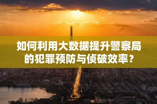 如何利用大数据提升警察局的犯罪预防与侦破效率？