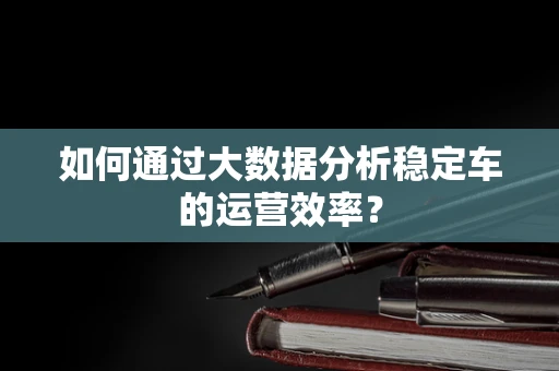 如何通过大数据分析稳定车的运营效率？