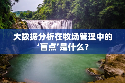 大数据分析在牧场管理中的‘盲点’是什么？