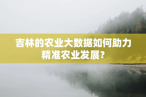 吉林的农业大数据如何助力精准农业发展？