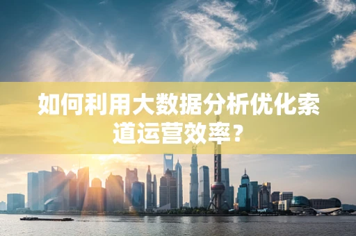 如何利用大数据分析优化索道运营效率？