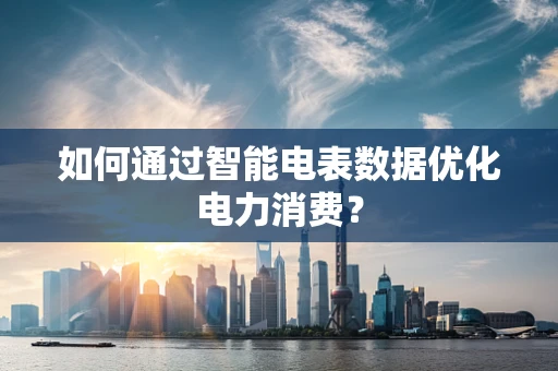 如何通过智能电表数据优化电力消费？