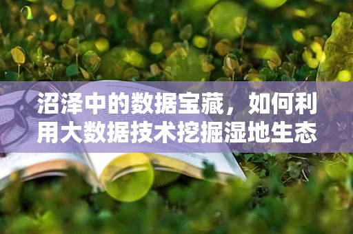 沼泽中的数据宝藏，如何利用大数据技术挖掘湿地生态的秘密？