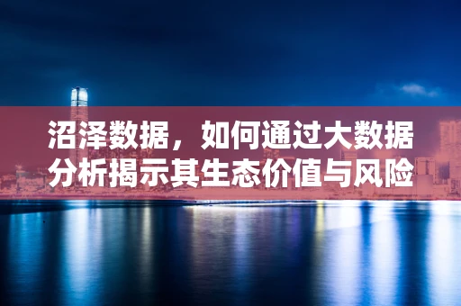 沼泽数据，如何通过大数据分析揭示其生态价值与风险？
