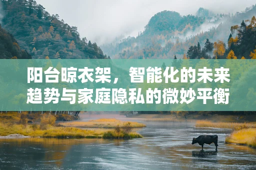 阳台晾衣架，智能化的未来趋势与家庭隐私的微妙平衡？