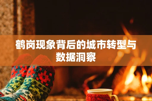鹤岗现象背后的城市转型与数据洞察