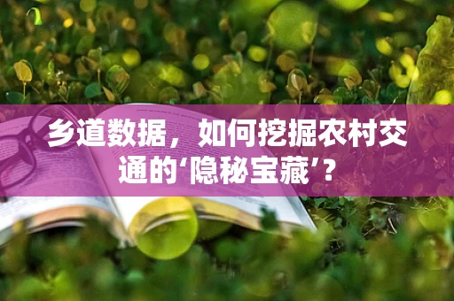 乡道数据，如何挖掘农村交通的‘隐秘宝藏’？