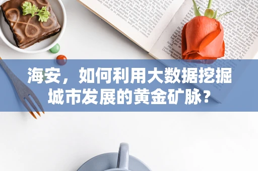 海安，如何利用大数据挖掘城市发展的黄金矿脉？