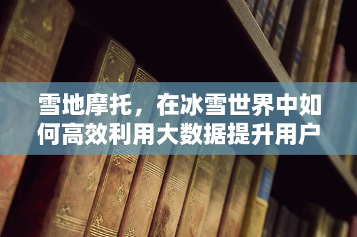 雪地摩托，在冰雪世界中如何高效利用大数据提升用户体验？