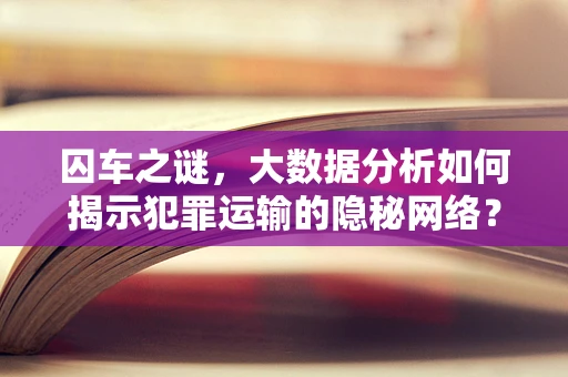 囚车之谜，大数据分析如何揭示犯罪运输的隐秘网络？