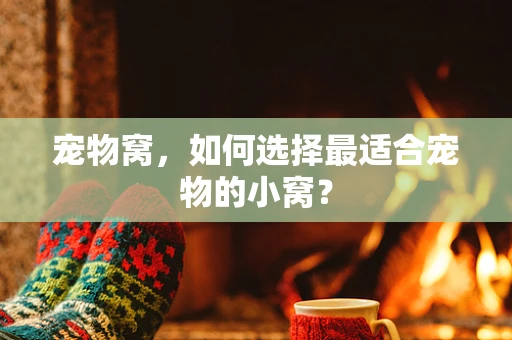 宠物窝，如何选择最适合宠物的小窝？