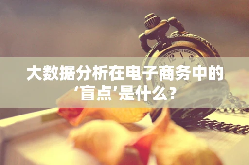 大数据分析在电子商务中的‘盲点’是什么？