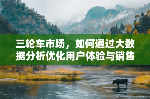 三轮车市场，如何通过大数据分析优化用户体验与销售策略？