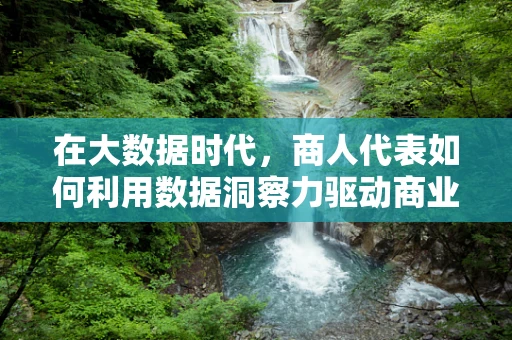 在大数据时代，商人代表如何利用数据洞察力驱动商业决策？