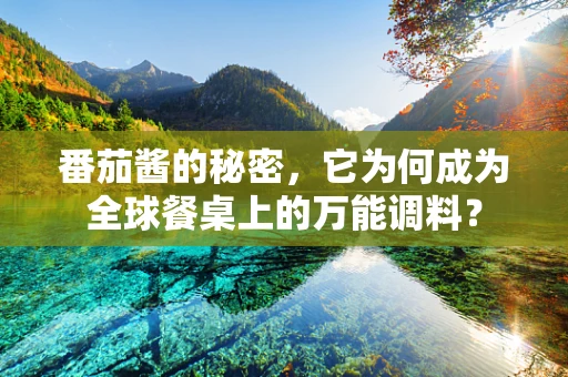 番茄酱的秘密，它为何成为全球餐桌上的万能调料？