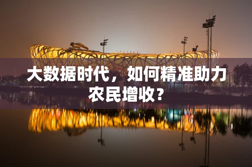 大数据时代，如何精准助力农民增收？