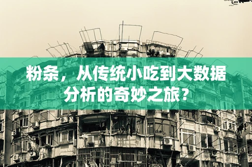 粉条，从传统小吃到大数据分析的奇妙之旅？