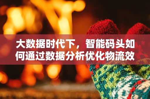 大数据时代下，智能码头如何通过数据分析优化物流效率？