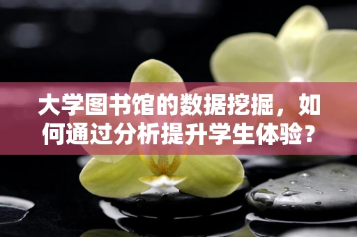 大学图书馆的数据挖掘，如何通过分析提升学生体验？