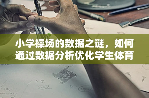 小学操场的数据之谜，如何通过数据分析优化学生体育活动？