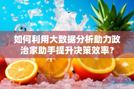 如何利用大数据分析助力政治家助手提升决策效率？