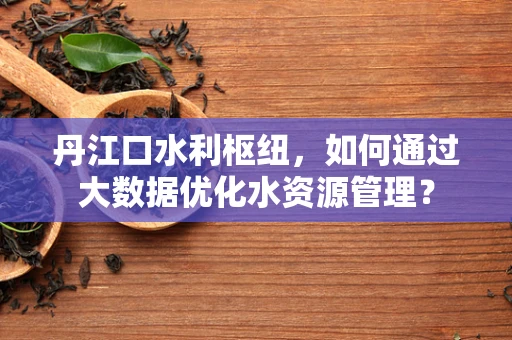 丹江口水利枢纽，如何通过大数据优化水资源管理？