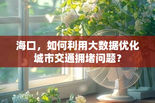海口，如何利用大数据优化城市交通拥堵问题？