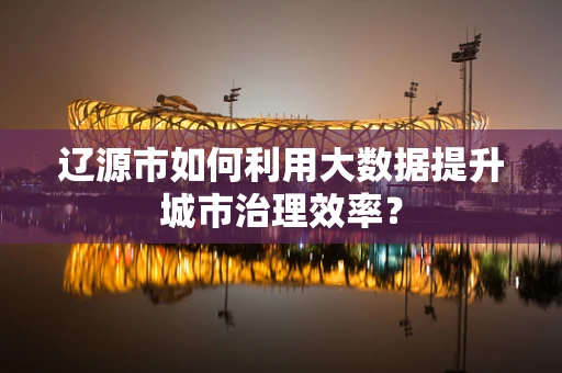 辽源市如何利用大数据提升城市治理效率？