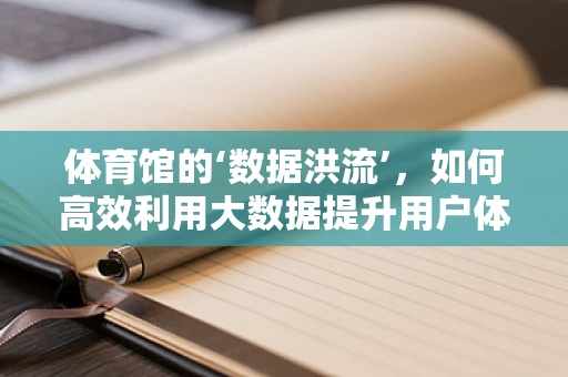 体育馆的‘数据洪流’，如何高效利用大数据提升用户体验？