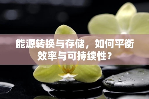 能源转换与存储，如何平衡效率与可持续性？