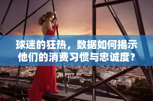 球迷的狂热，数据如何揭示他们的消费习惯与忠诚度？