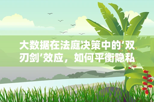 大数据在法庭决策中的‘双刃剑’效应，如何平衡隐私与正义？